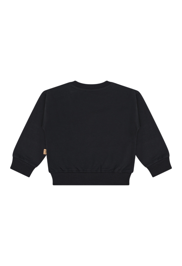 W10171/3115400 zwart 