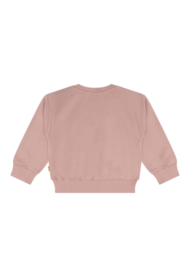 W10171/3115400 OUD ROSE 