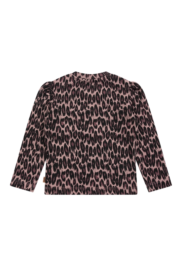 W10187/3115602 OUD ROSE 