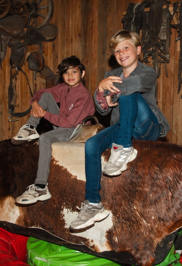 W10282/3117405 mauve 