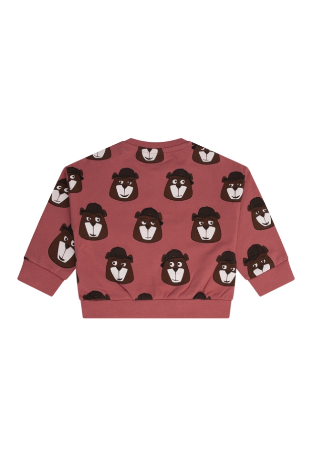 W10294/3111401 LICHT ROOD 