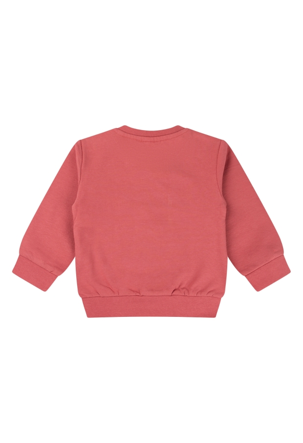 W10303/3111403 LICHT ROOD 