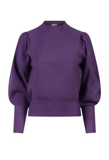 Citylife W10406/Dani paars  pansy