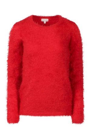 Citylife W10416/LW00347 ROOD  goji berry