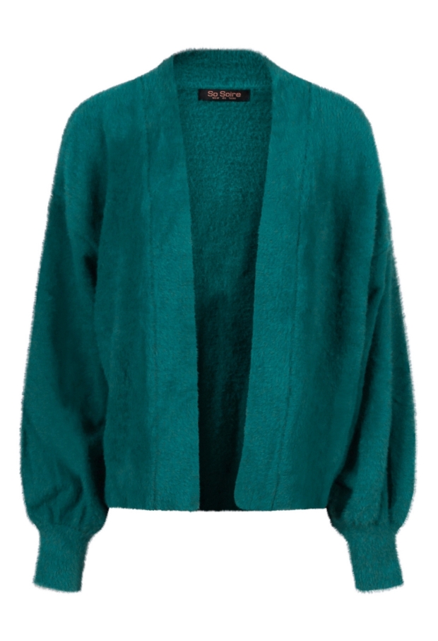 W10602/Valentina petrol 