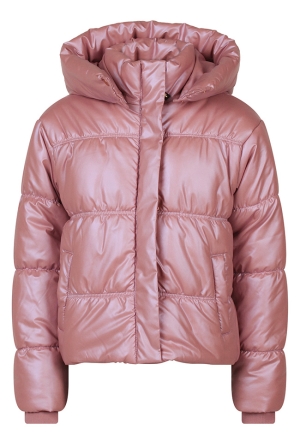 Persival W10239/Ezea OUD ROSE  pink