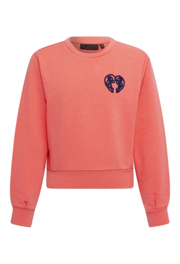 D-zine W10104/Tana koraal  winter coral