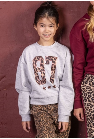 D-zine W10111/Teodora GRIJS MELEE  grey melee