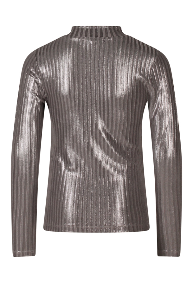 W10112/Tooske zilver 