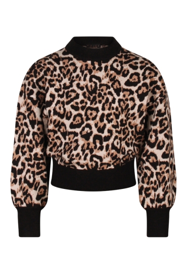 D-zine W10117/Tanomi KIT  kit