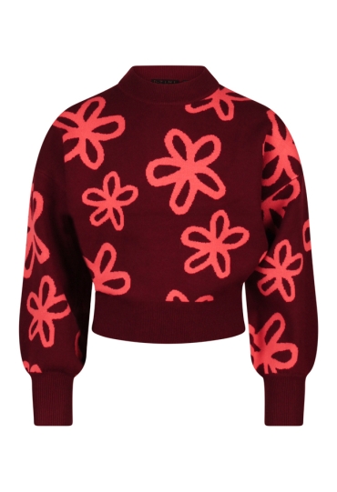 D-zine W10117/Tanomi DONKER ROOD  dark red