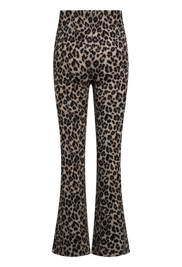 W10123/Truda aop KIT 