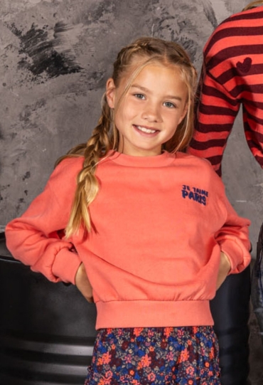 D-zine W10126/Tinka koraal  winter coral