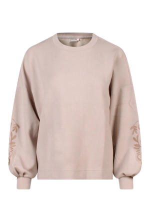 Pink70本 北島園芸オリジナル】 ニチニチソウ・ミラシリーズ 『チェリーピンク