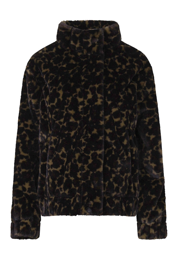 W10339/LJ-77777 Bruin 