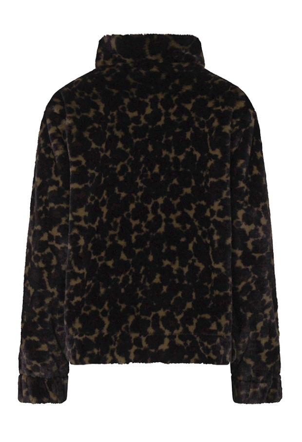 W10339/LJ-77777 Bruin 