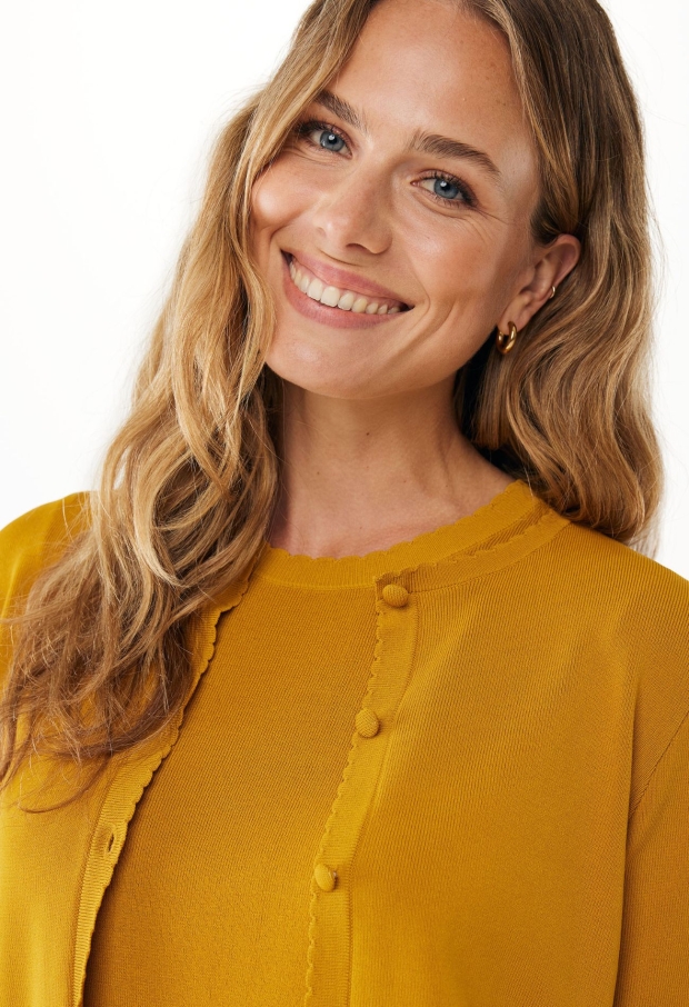 MF006601853W MOSTERD 