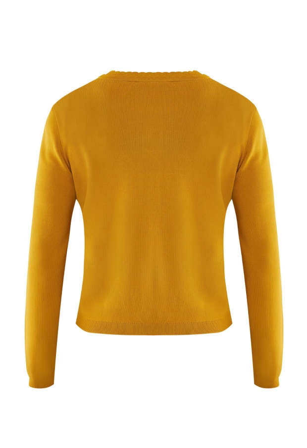 MF006601853W MOSTERD 