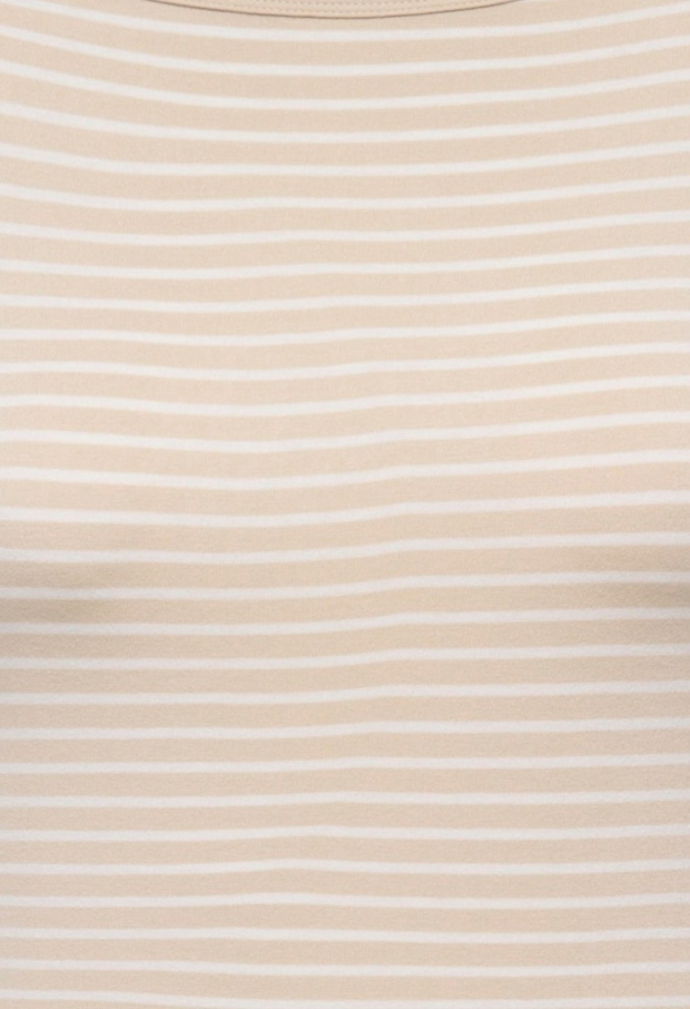 15364527 Sandshell/CLOUD DANCER