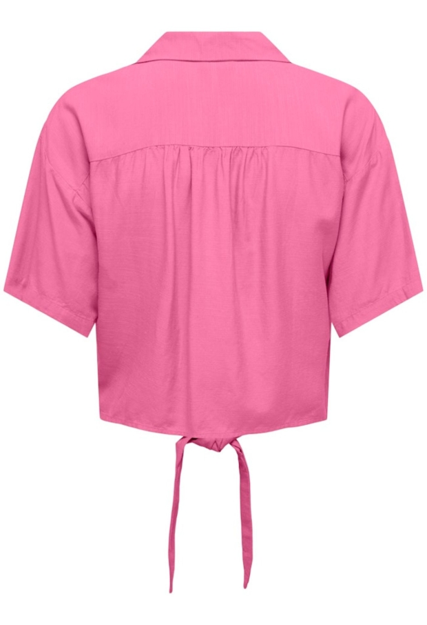 15369092 Wild Orchid 