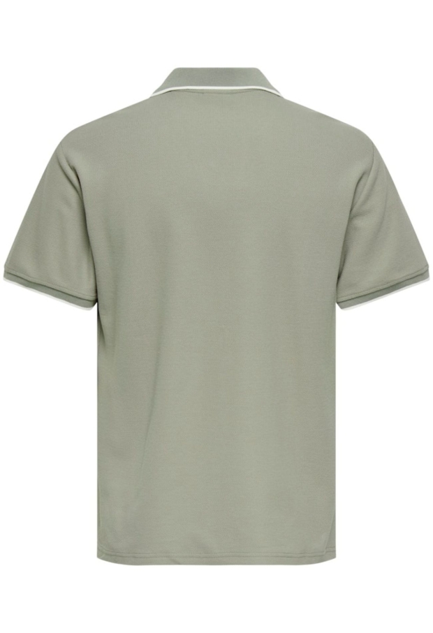 22037424 Laurel Oak/EGRET 