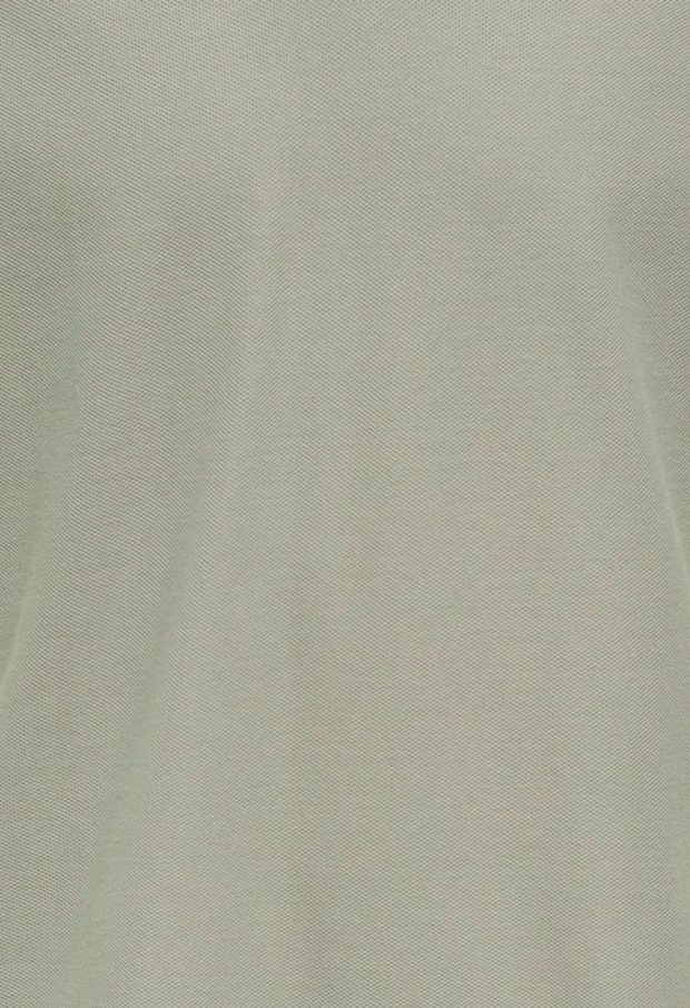 22037424 Laurel Oak/EGRET 