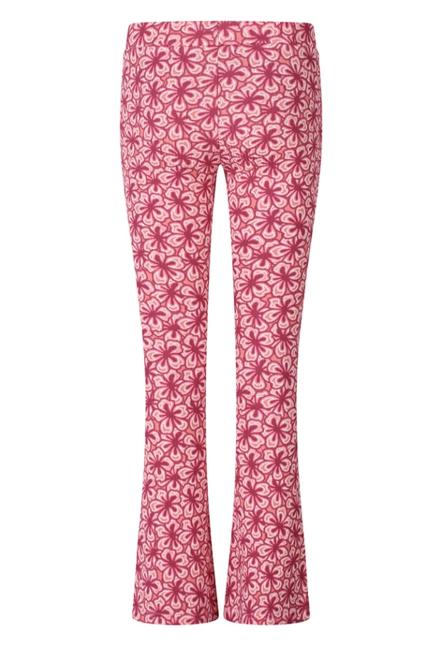 Z10310/Malina fun terra