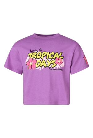 D-zine Z10318/Real LILA  lilac