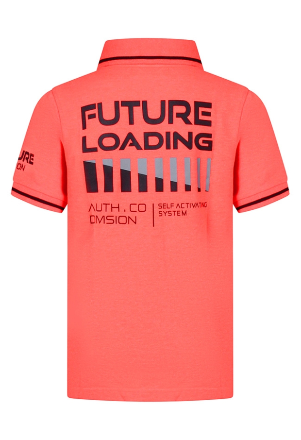 Z10354/System FEL KORAAL 