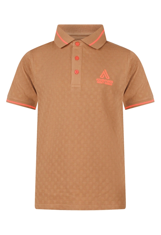 Z10355/Willem CAMELL 