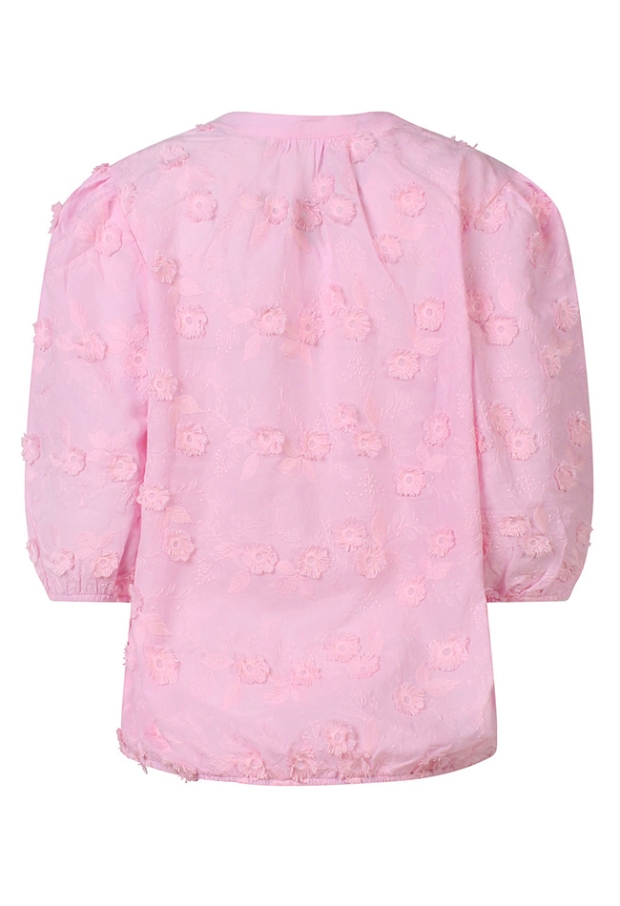 Z10540/Alison LICHT ROSE