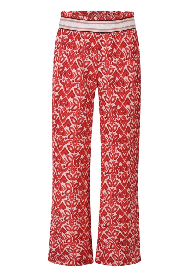 Z10557/GP83233-A koraal 