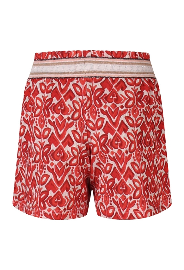 Z10558/GP83219 koraal 