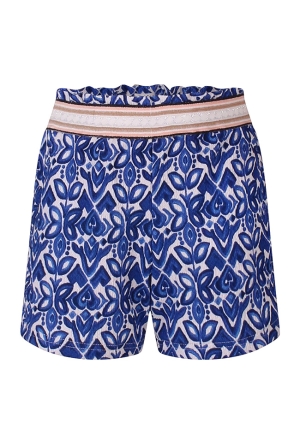 D-zine Z10558/GP83219 KOBALT  surf the web