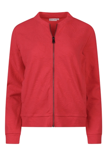 Citylife Z10467/404180 ROOD  poinsetta