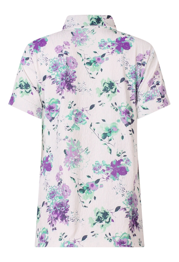 Z10470/213313 petrol 