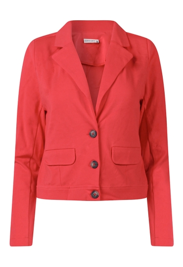 Citylife Z10474/404182 ROOD  poinsetta