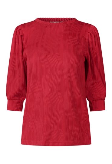 Citylife Z10675/LW93357 ROOD  poinsettia