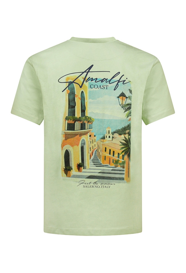 Z10698/MT-49355 Pastel Groen 