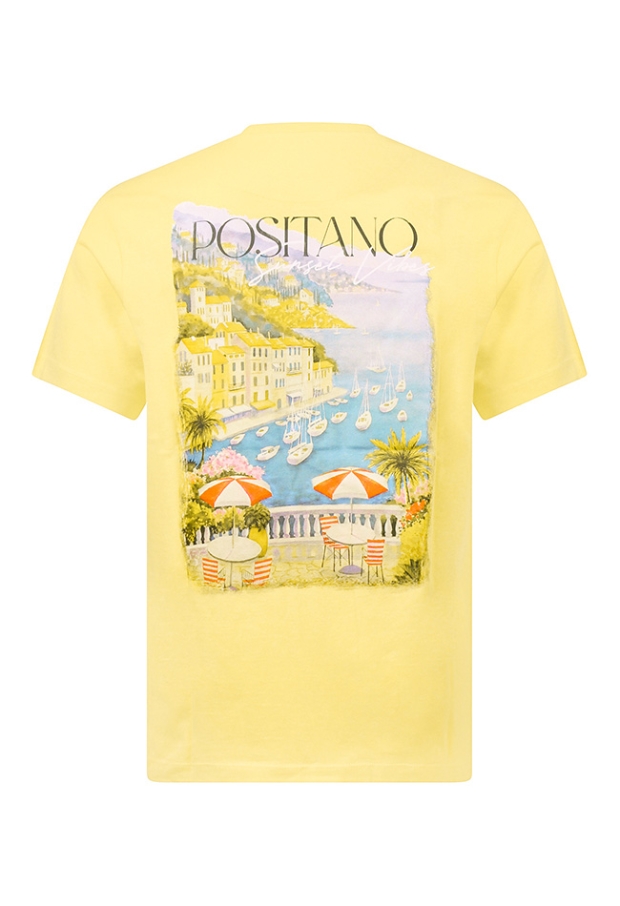 Z10699/MT-49496 geel