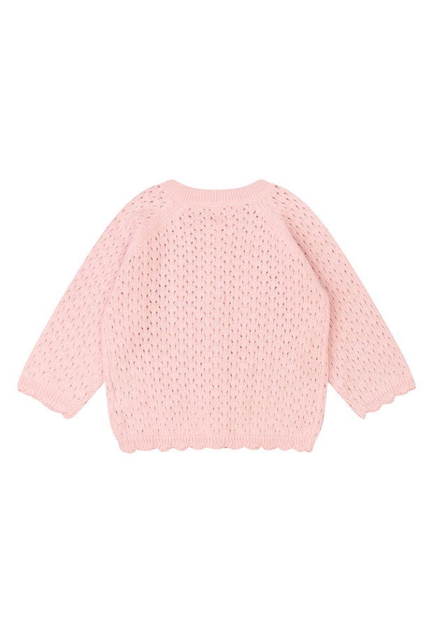 Z10124/3216300 LICHT ROSE 