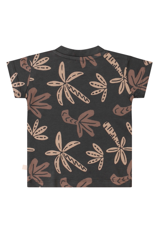 Z10134/3212602 Antraciet 