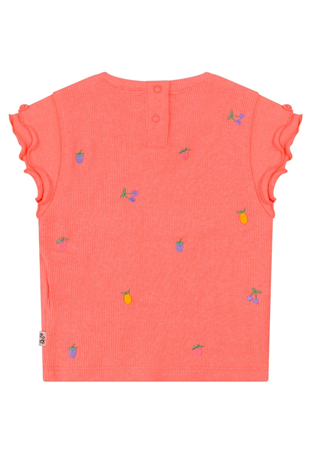 Z10140/3215602 FEL KORAAL 