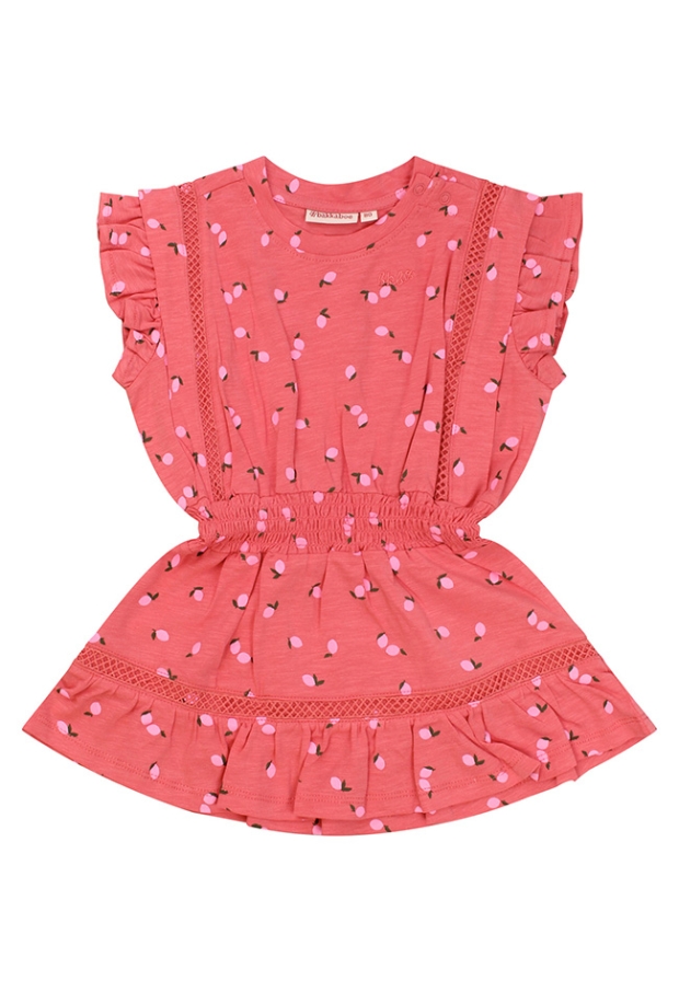 Z10158/3215702 LICHT ROOD 