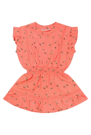 Bakkaboe Z10158/3215702 FEL KORAAL  19.NEONCORAL.S26