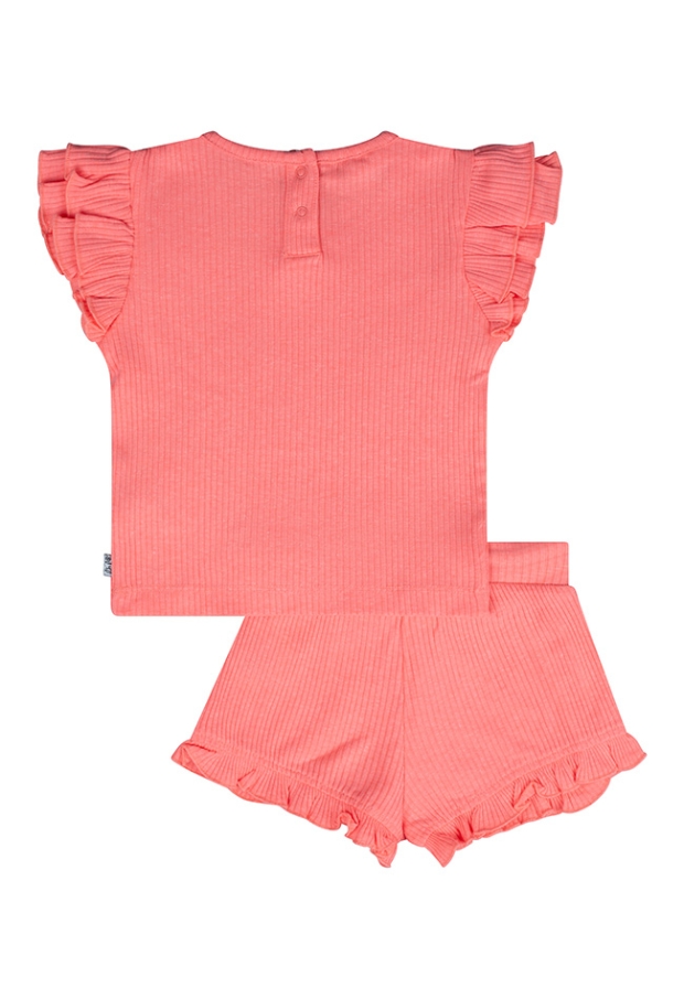 Z10159/3215900 FEL KORAAL