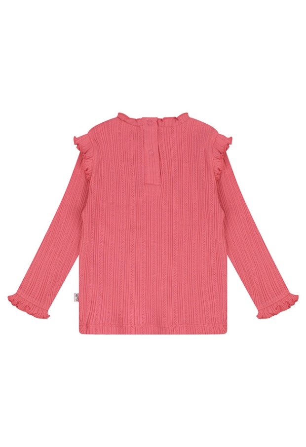 Z10163/3215609 LICHT ROOD 