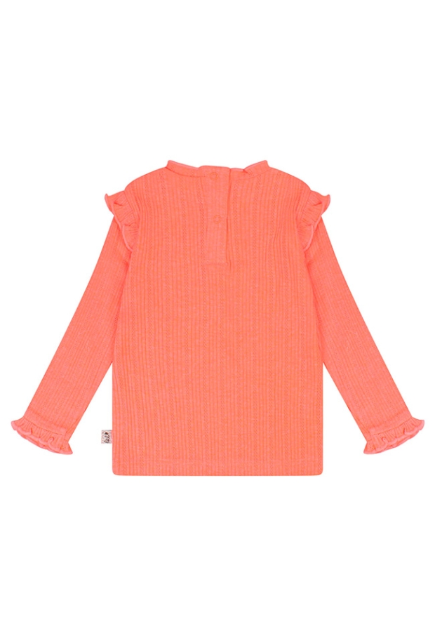 Z10163/3215609 FEL KORAAL 