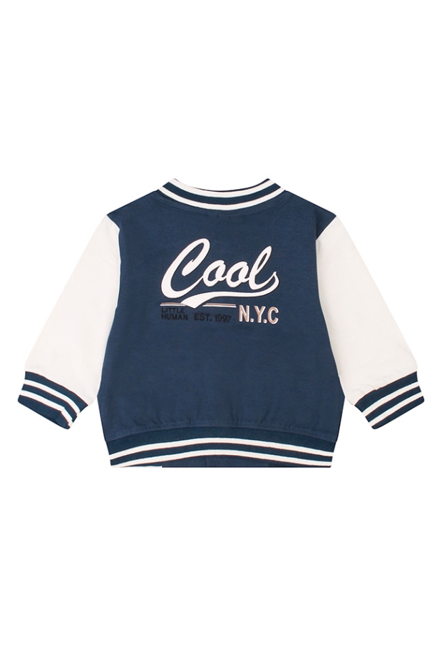 Z10417/Celvyn INDIGO 