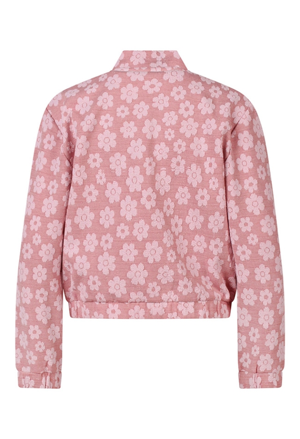 Z10026/3210403 OUD ROSE 